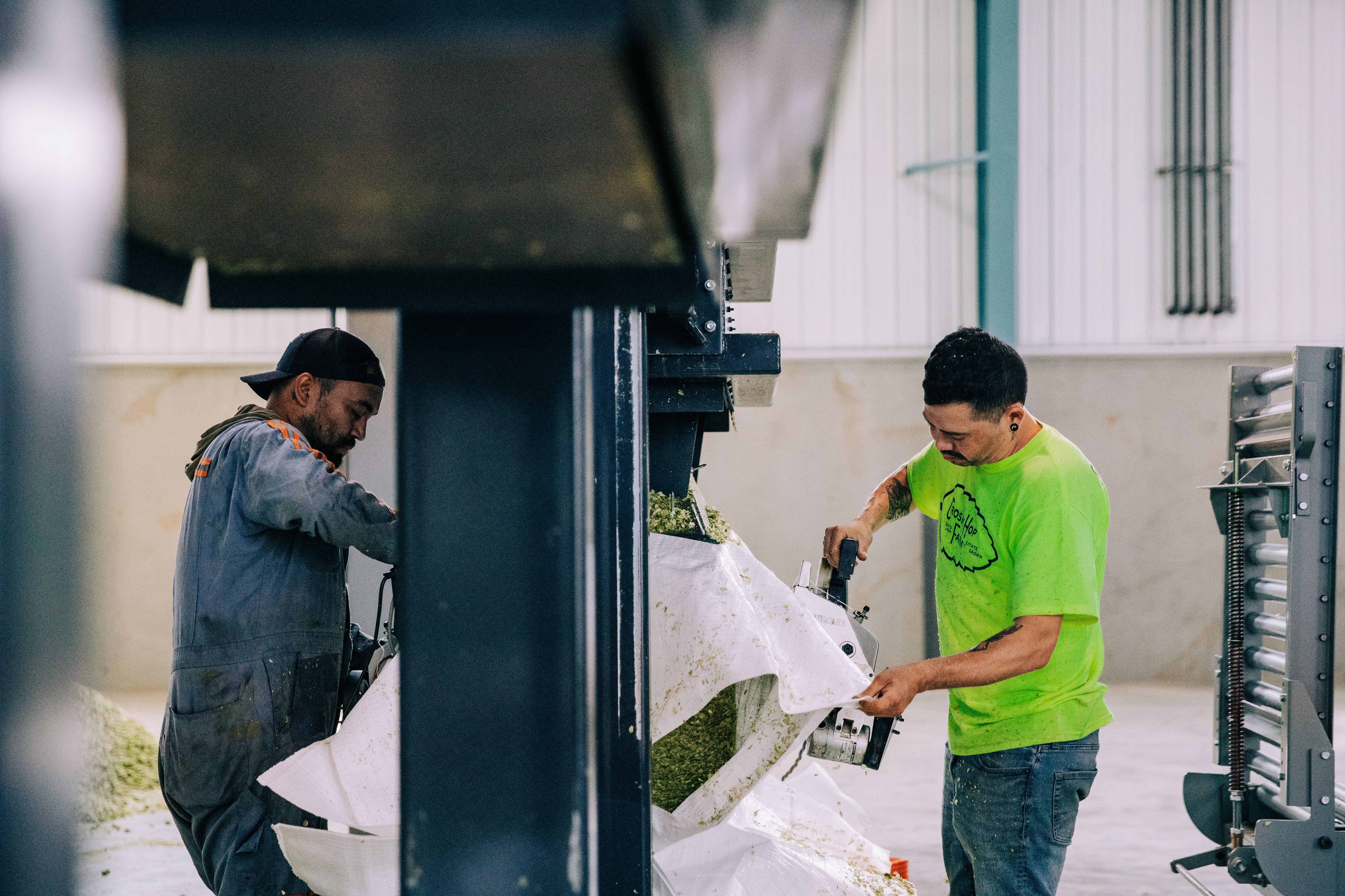 People packaging hops