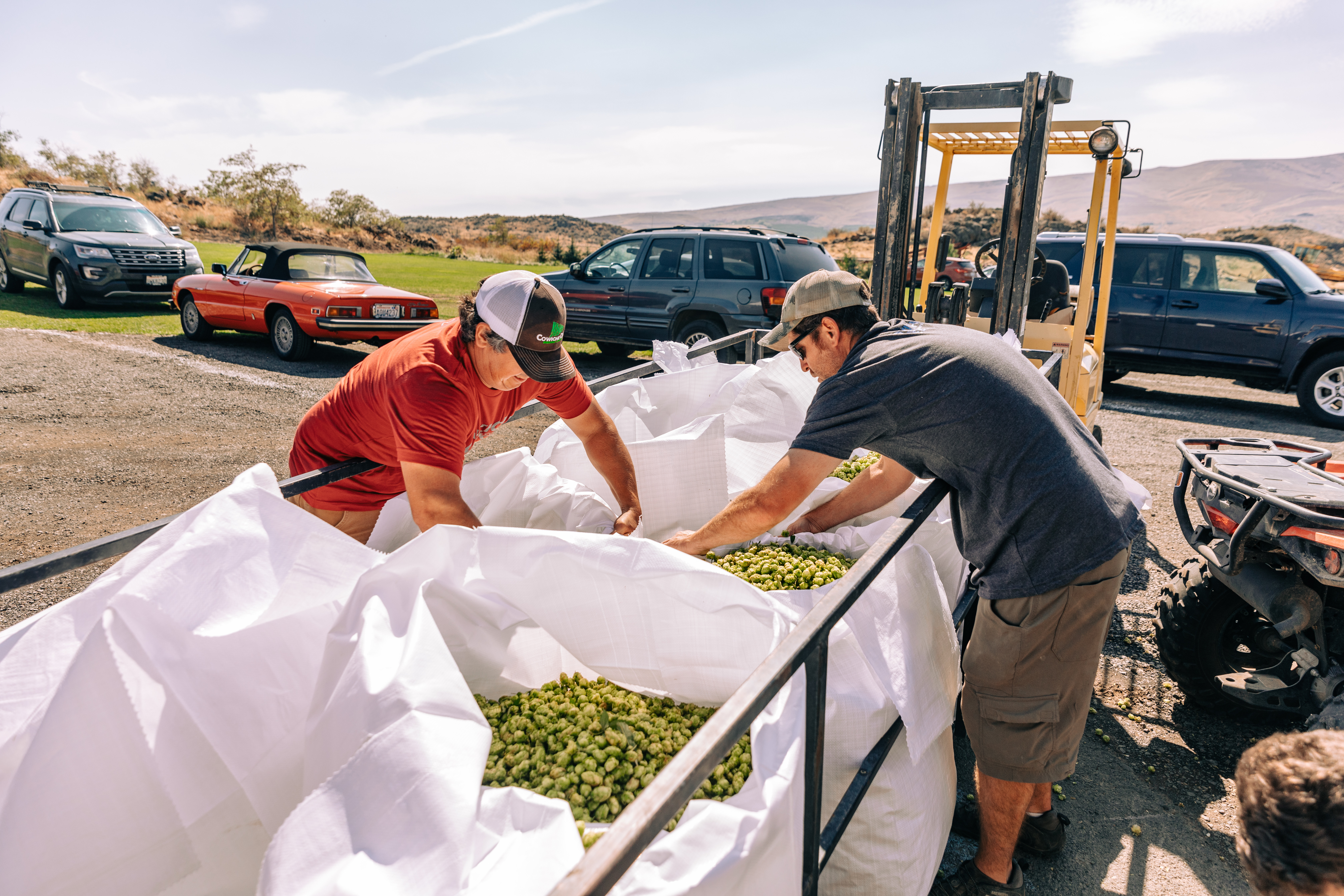 People examining hop bins