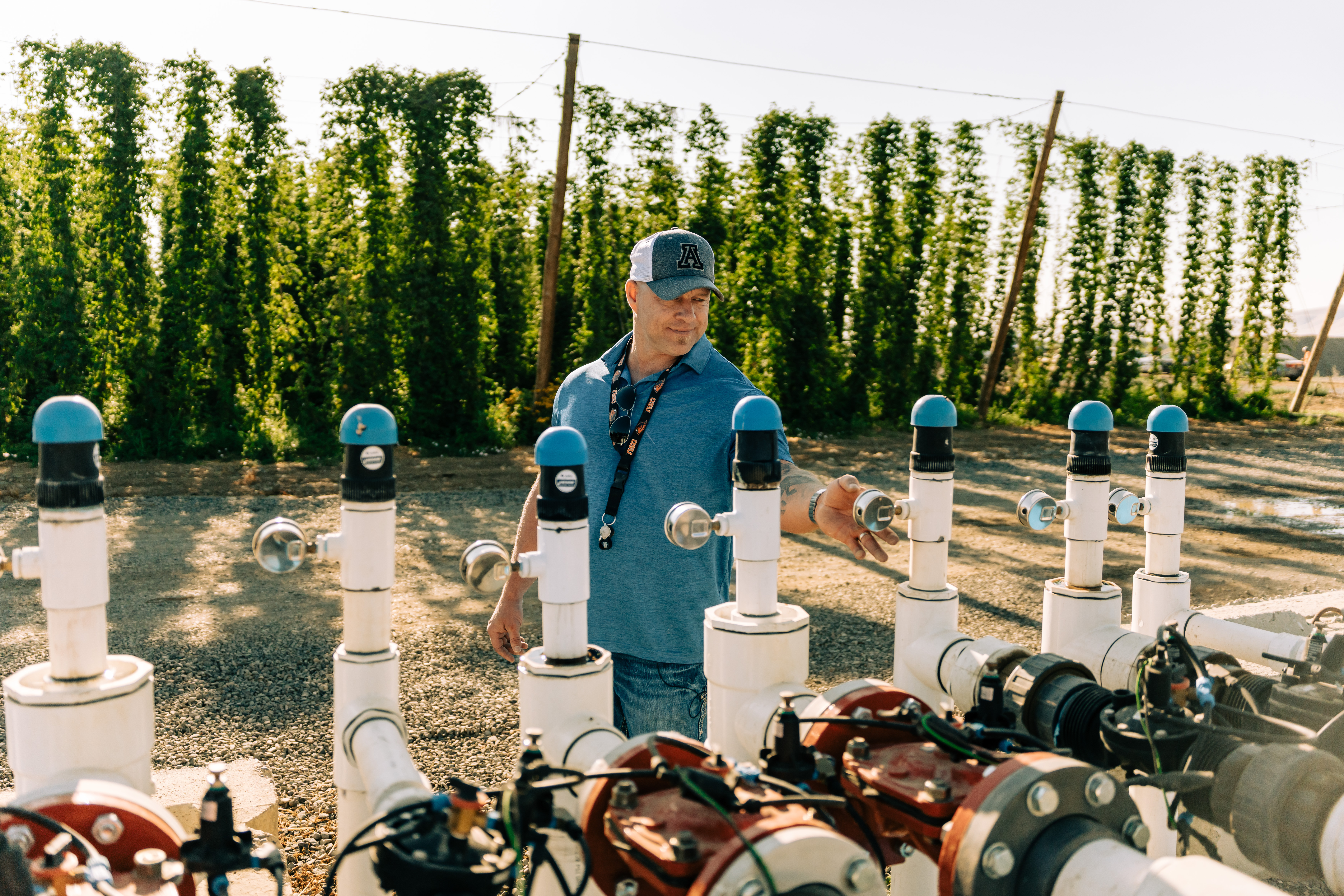 Man checking equipment in hop field